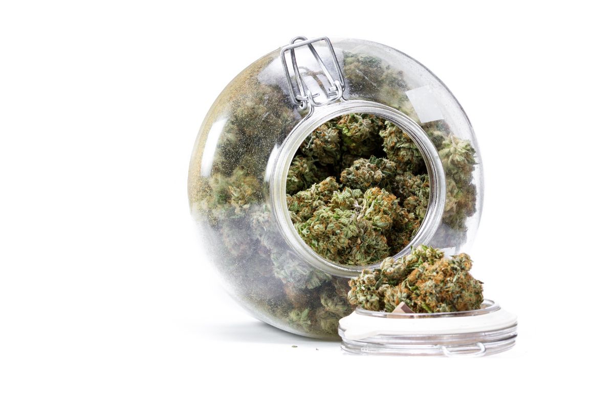 Nejlepší metodou skladování marihuany je skleněná nádoba